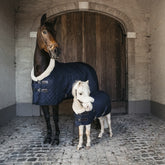 Kentucky Horsewear Show Rug 160g